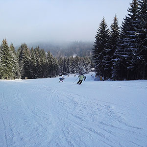 Czarna Góra i Masyw Śnieżnika